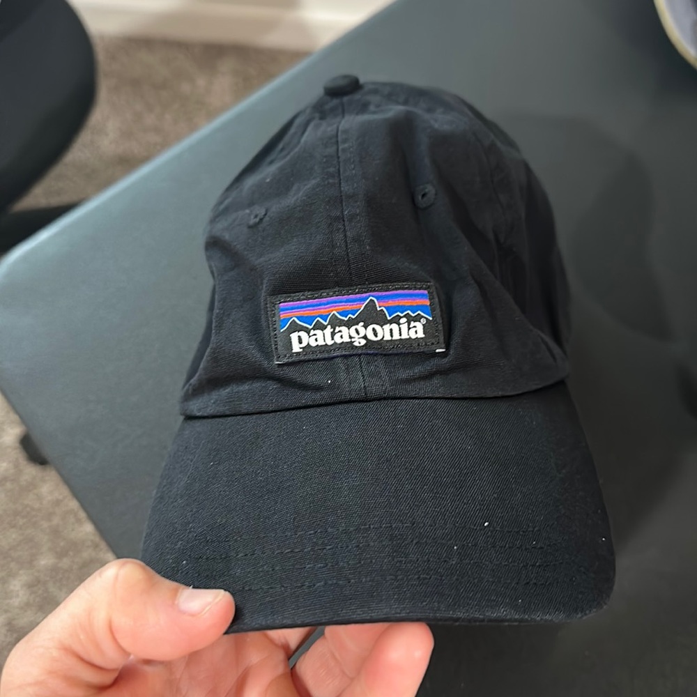 Patagonia womens hat
